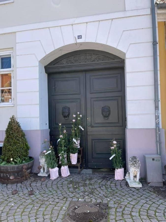 Bed and Breakfast Apothekergaarden Stege Stuen Mod Gardhaven Zewnętrze zdjęcie