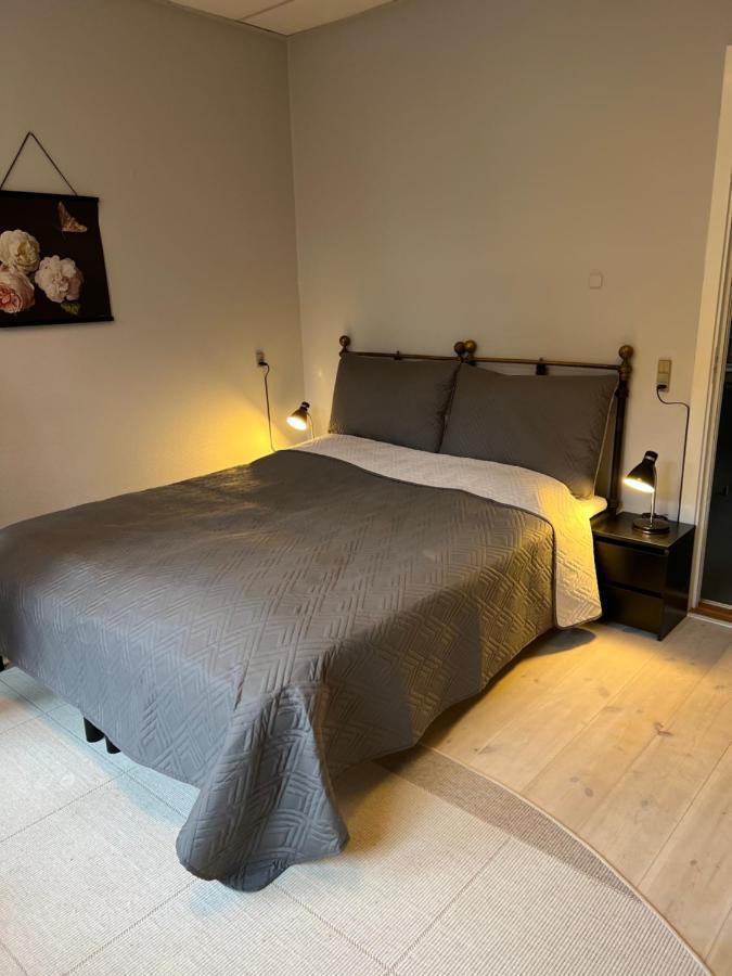Bed and Breakfast Apothekergaarden Stege Stuen Mod Gardhaven Zewnętrze zdjęcie